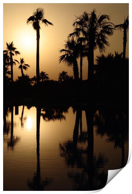 Sunset Palm Trees Print by Adrian Susman