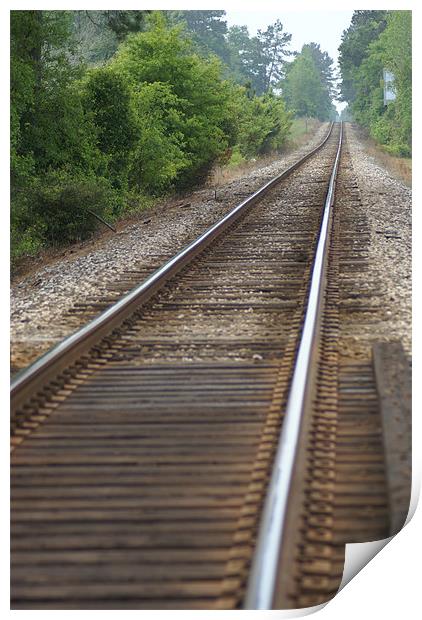 Tracks Print by Stacey Cook
