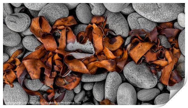 Abstract Sea Weed drying on a rocky Beach Print by Joe Dailly