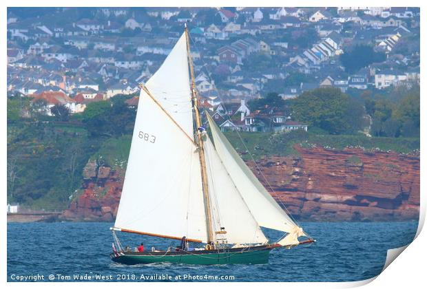 Pegasus sailing in Torbay Print by Tom Wade-West