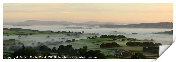Misty Monmouthshire Morning Print by Tom Wade-West