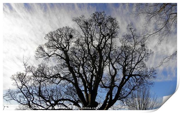 Tree Silhouette Print by Rhonda Surman
