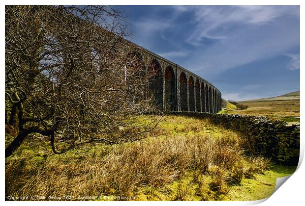 The Ribblehead Viaduct Print by Colin Green