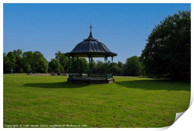 The Bandstand Print by Colin Green