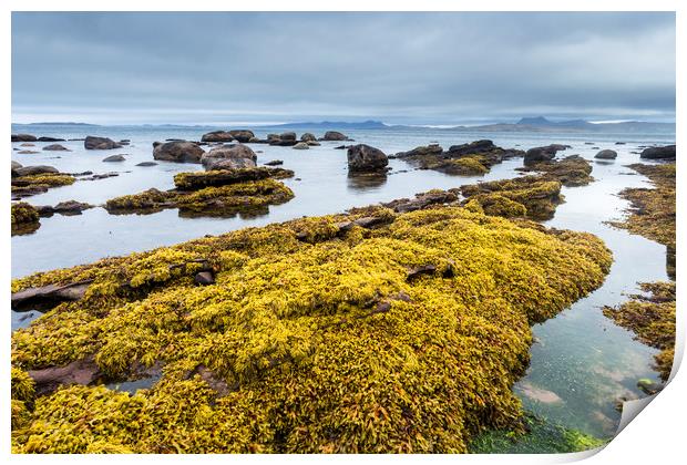 Udrigle Shoreline Print by Chris Rafferty