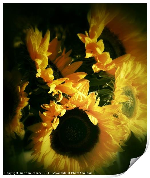 Sunflowers  Print by Brian Pearce