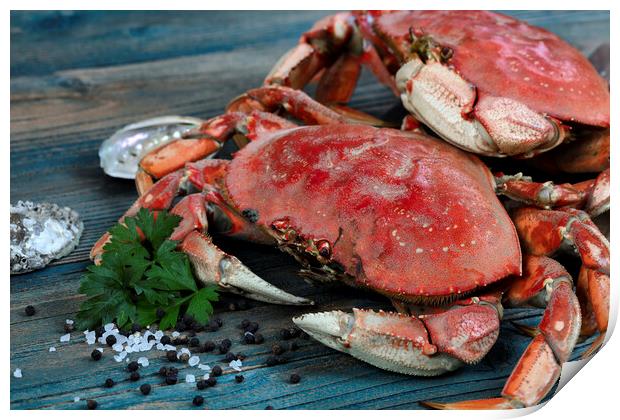 Freshly cooked crab with ingredients in close up view for seafoo Print by Thomas Baker
