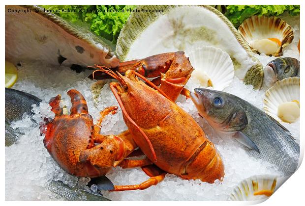Fresh Seafood on Ice  Print by Thomas Baker