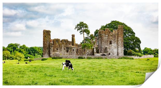 Dairy cows grazing in field near castle  Print by Thomas Baker