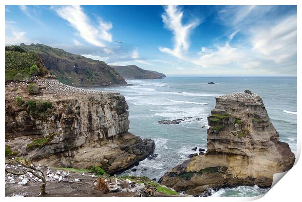 Jagged coastline of New Zealand with ocean and bir Print by Thomas Baker