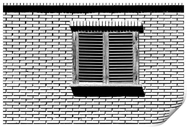 Simple House Window On Red Brick Wall Print by Radu Bercan