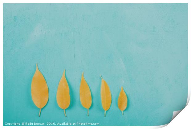 Yellow Autumn Leaves On Turquoise Wood Table Print by Radu Bercan