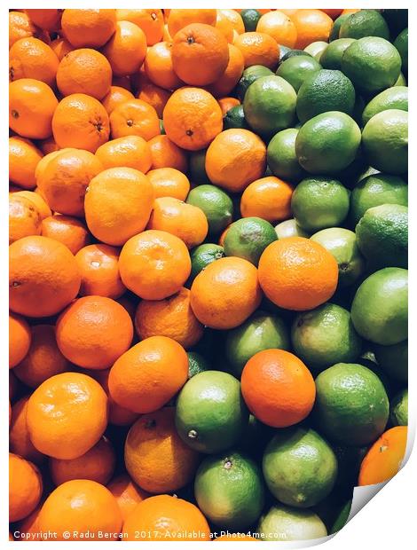 Lime And Tangerines Citrus Fruits In Fruit Market Print by Radu Bercan