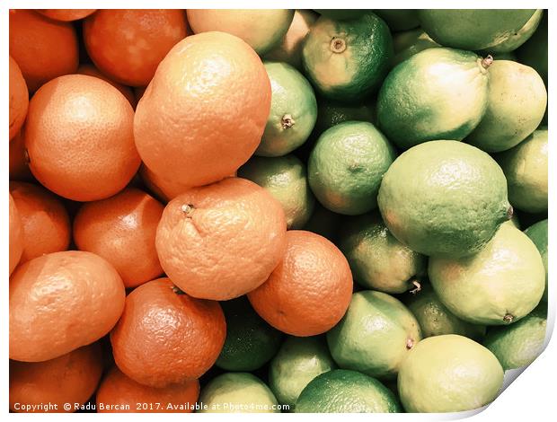 Lime And Tangerines Citrus Fruits In Fruit Market Print by Radu Bercan