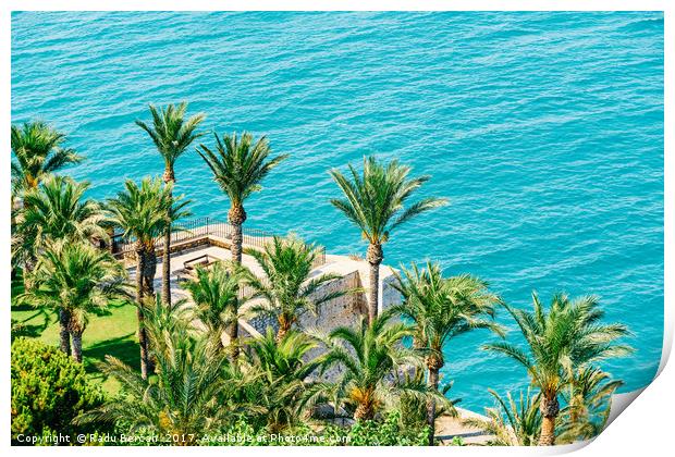 Aerial View Of Green Palm Trees And Blue Ocean Lan Print by Radu Bercan