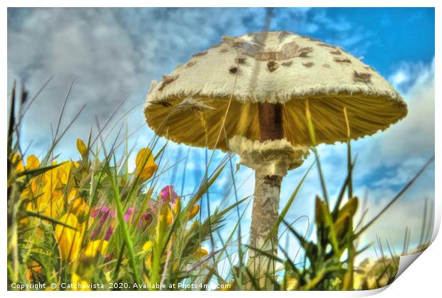 Summer's Whisper: Meadow Mushroom Print by Catchavista 
