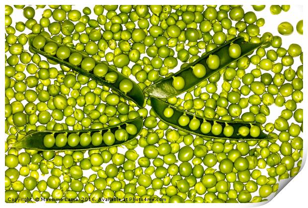 fresh green peas Print by Massimo Lama