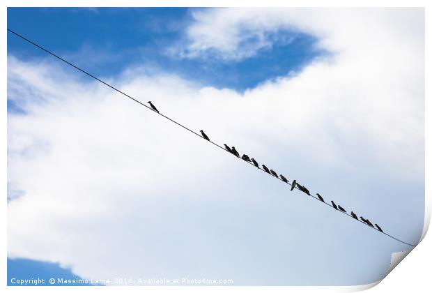 Birds on a wire Print by Massimo Lama