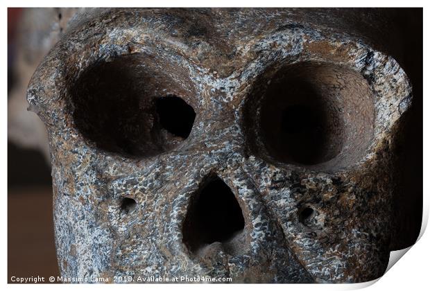 Monkey skull isolated  Print by Massimo Lama