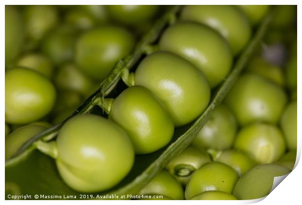 Fresh green peas  Print by Massimo Lama