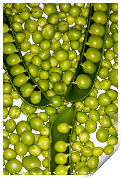Fresh green peas  Print by Massimo Lama