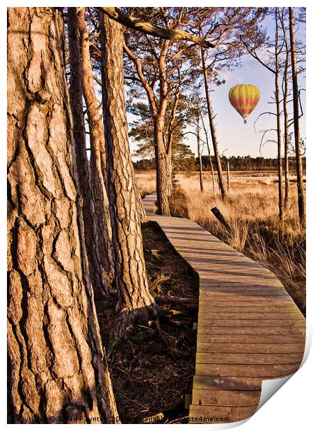 Balloon flight over Thursley Nature Reserve Print by Julian Paynter