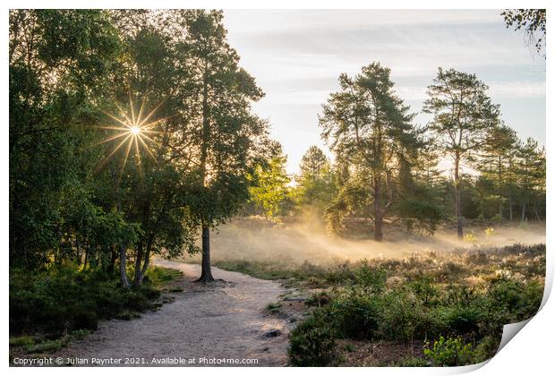 Frensham sunburst Print by Julian Paynter