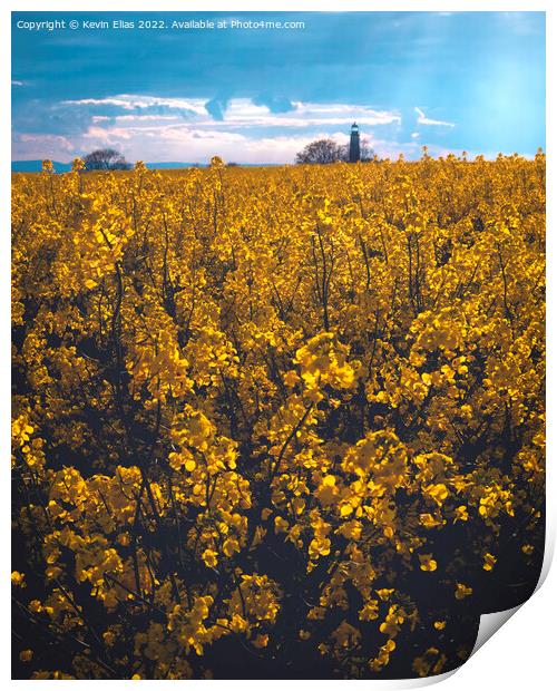 Fields of gold Print by Kevin Elias