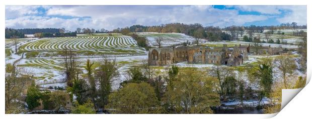 Egglestone Abbey in the snow at Barnard Castle Print by Jim Wood