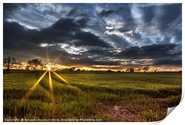 Sunset at Rokeby  Print by AMANDA AINSLEY