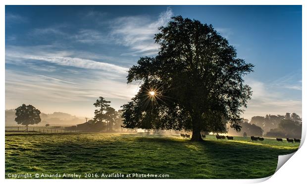 Misty Morning in Teesdale Print by AMANDA AINSLEY
