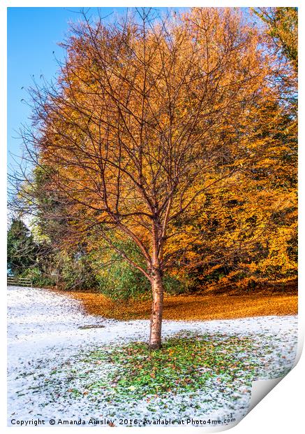 Autumn Snow Print by AMANDA AINSLEY