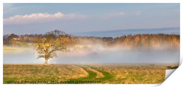 Misty Morning in Teesdale Print by AMANDA AINSLEY
