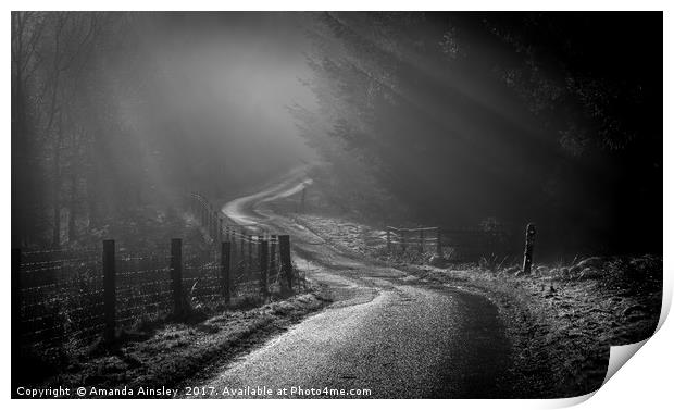 Misty Forest and Moody Sun Rays. Print by AMANDA AINSLEY