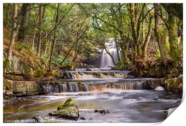 Summerhill Force in Teesdale Print by AMANDA AINSLEY