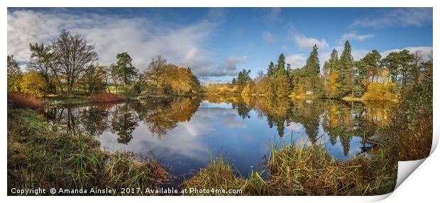 Lartington Low Pond in Autumn Splendour Print by AMANDA AINSLEY