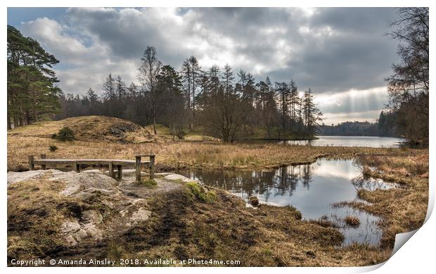 Radiant Reflections of Tarn Hows Print by AMANDA AINSLEY