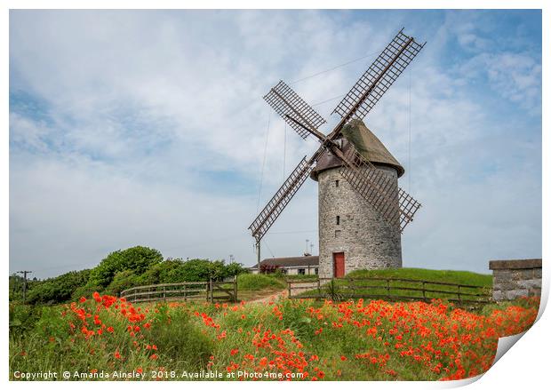 The Majestic Beauty of Skerries Windmill and Poppi Print by AMANDA AINSLEY