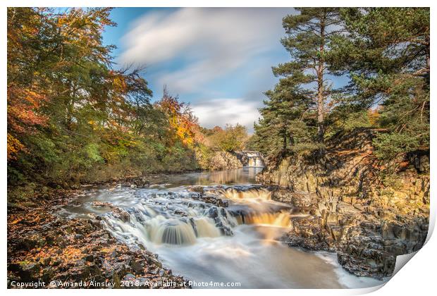 Golden Autumn at Low Force Print by AMANDA AINSLEY