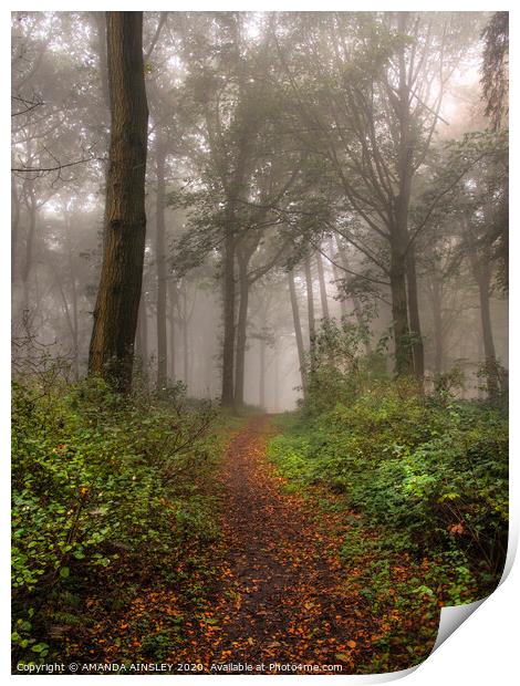 Misty Woodland Walk Print by AMANDA AINSLEY