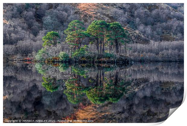 Majestic Scots Pines Reflecting on Loch Eilt Print by AMANDA AINSLEY