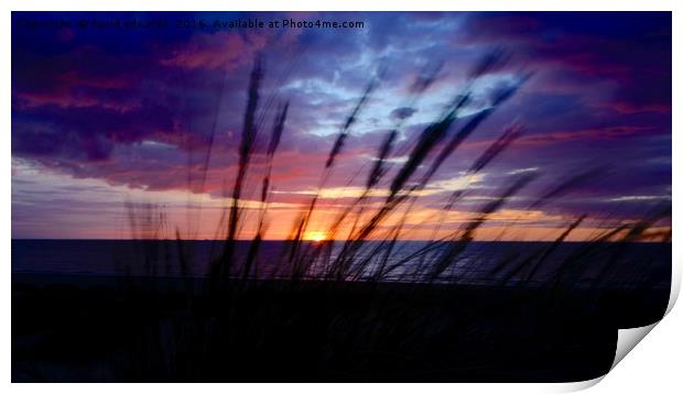 Sunny Hunstanton               Print by david edwards