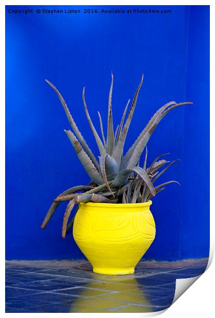 Yellow Pot, Marrakech Print by Stephen Lipton