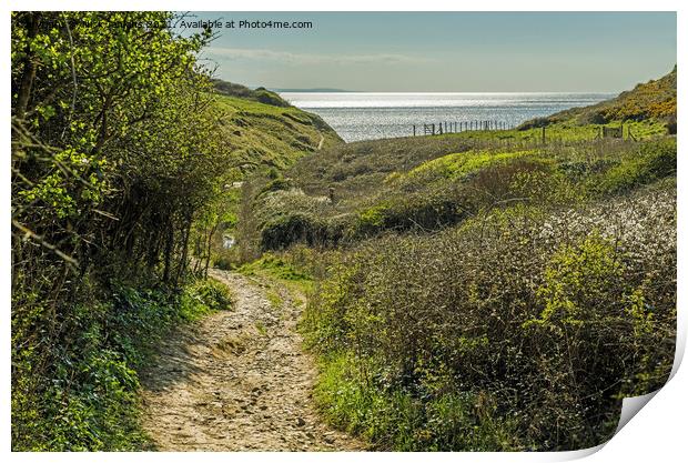 View towards the sea at Monknash Glamorgan Coast Print by Nick Jenkins