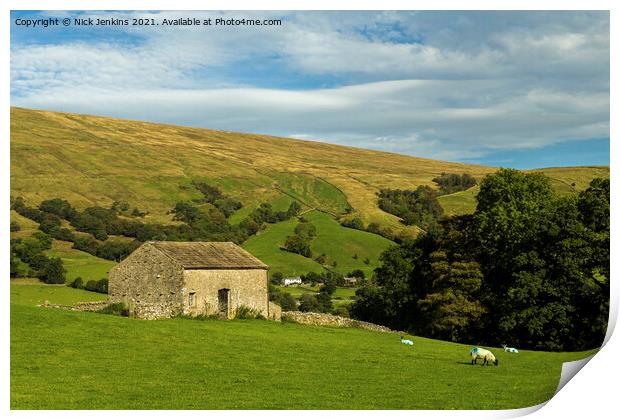 Dales Barn on the Deepdale Fells Cumbria Print by Nick Jenkins