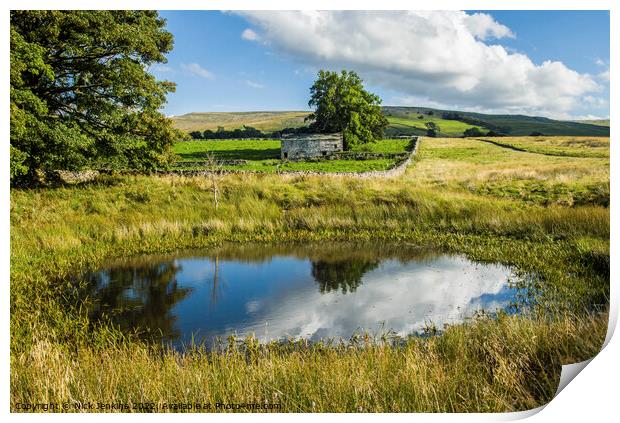 Pond and Barn Ravenstonedale in Cumbria  Print by Nick Jenkins