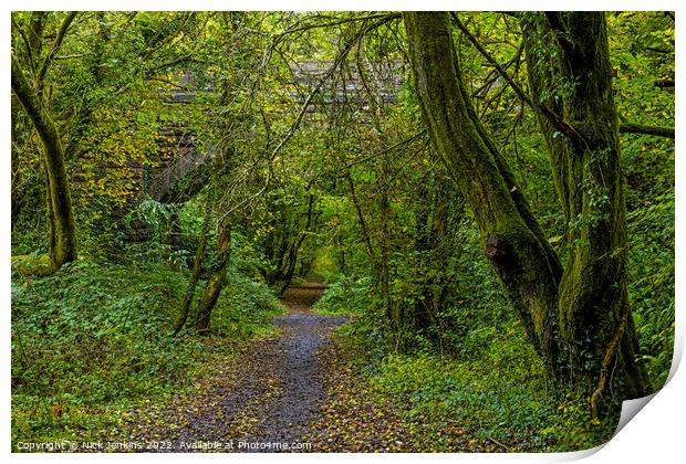 Pathway through the Woods in October Print by Nick Jenkins