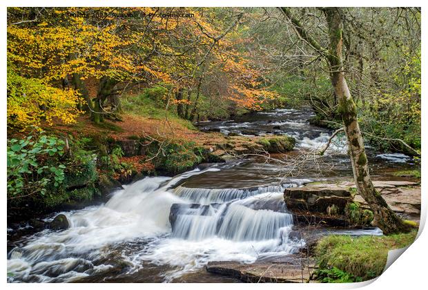 Caerfanell Falls in Taff Fechan Valley Brecon Beac Print by Nick Jenkins
