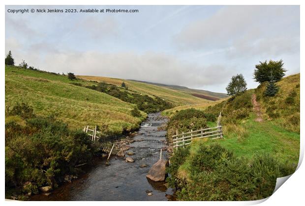 River Llia in the Fforest Fawr Area Brecon Beacons Print by Nick Jenkins