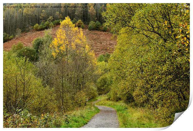 Footpath and Autumn Trees at Clydach Vale South Wales Print by Nick Jenkins